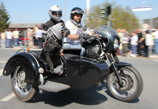 Beiwagen%20Hund%20Mail