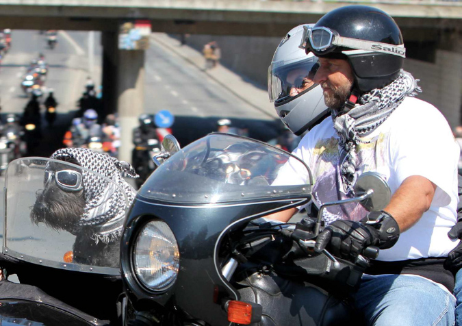 Sternfahrt%20Hund%20im%20Beiwagen%20Mail